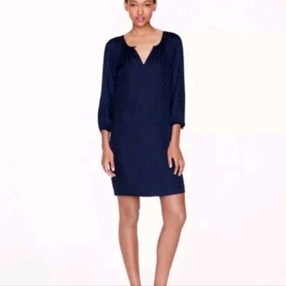 J. Crew Navy Blue Silk Leopard Print Long Sleeve Lined Midi Dress - Size 2